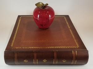 Using the DIY photo booth backdrop setup, I took a sample photo of an apple sitting on top of a book.